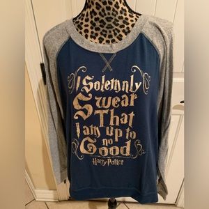 Harry Potter Woman’s blue/grey Sweatshirt 
Size - 3x (22W-24W)